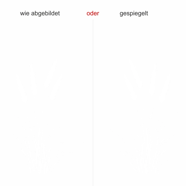 Wandtattoo Ziergras mit Wedel - Ausrichtung und Farbauswahl Wandtattoo Ziergras mit Wedel - Ausrichtung und Farbauswahl