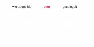 Wandaufkleber mit fernöstlichem Drachen