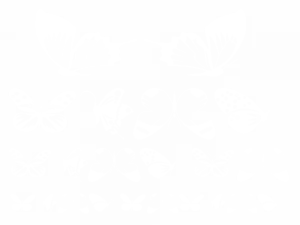 Mobile Preview: Schmetterlingsaufkleber im Set