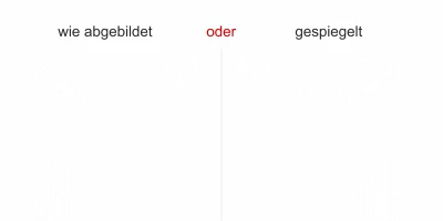 Wandaufkleber Pusteblume mit Vögel - Ansicht Ausrichtung und Farbauswahl