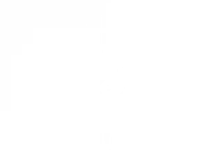 Aufkleber für die Wand mit Bambus und Yin und Yang Zeichen