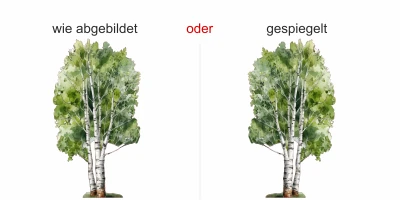 Wandtattoo Aquarell Birke - Ansicht Ausrichtung