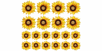Wandtattoo Set Sonnenblumen zur freien Platzierung
