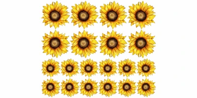 Wandtattoo Set Sonnenblumen zur freien Platzierung