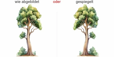 Wandtattoo Verzweigter Aquarell Baum - Ansicht Ausrichtung